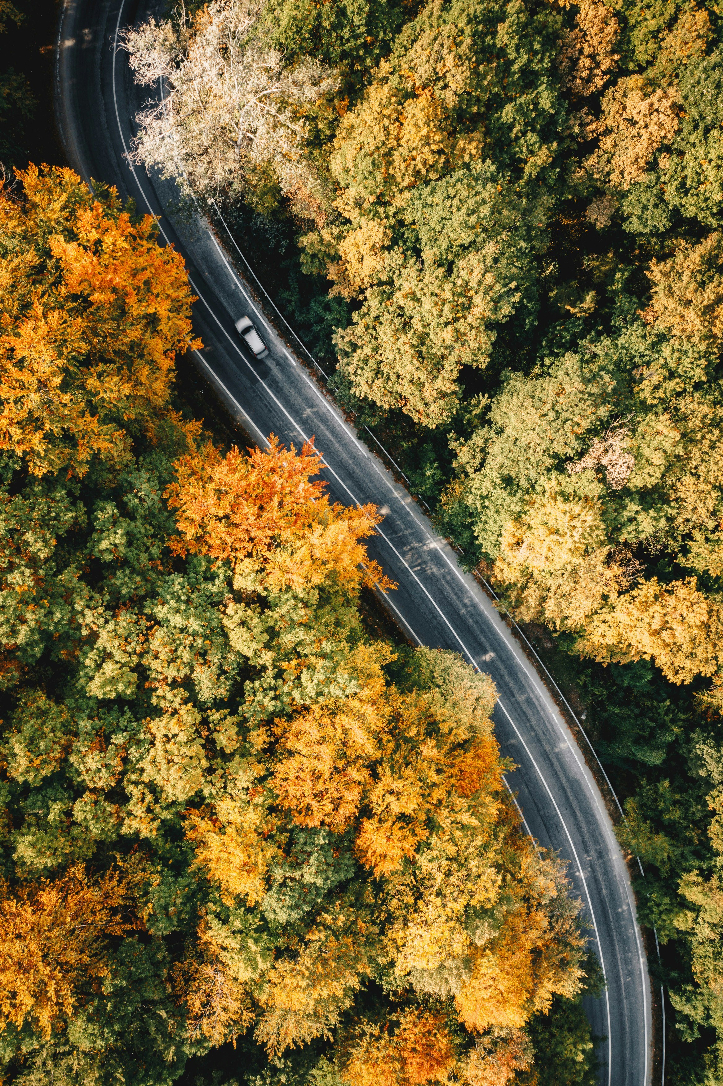 Calin stan s7q Kz3s Ghc4 unsplash